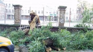 Временно затварят две улици за да отстранят опасни клони