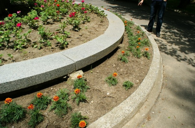 Изкорениха цветята в градинката до Театъра