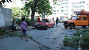 Клон падна върху движеща се кола