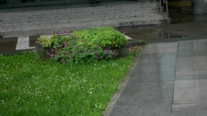 Синоптиците предупреждават 13 области на Северна България за интензивни валежи