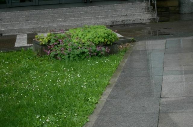 Синоптиците предупреждават 13 области на Северна България за интензивни валежи