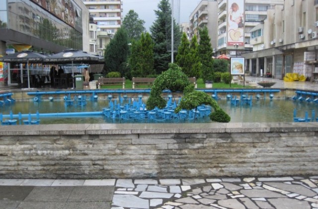 Делфини плуват в шадравана в Г. Оряховица
