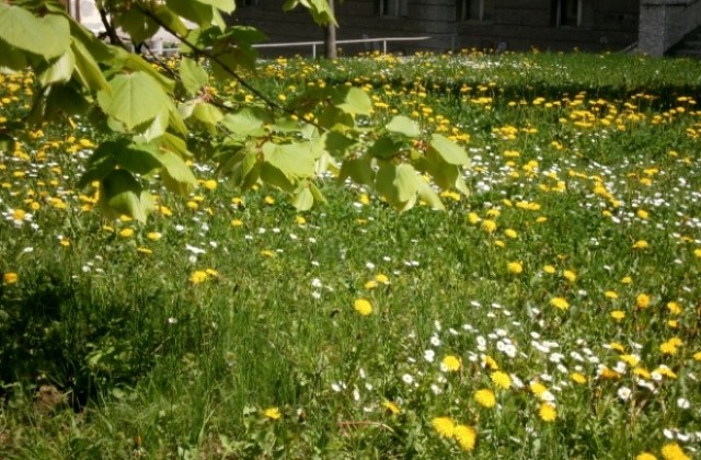 Слънце и дъжд