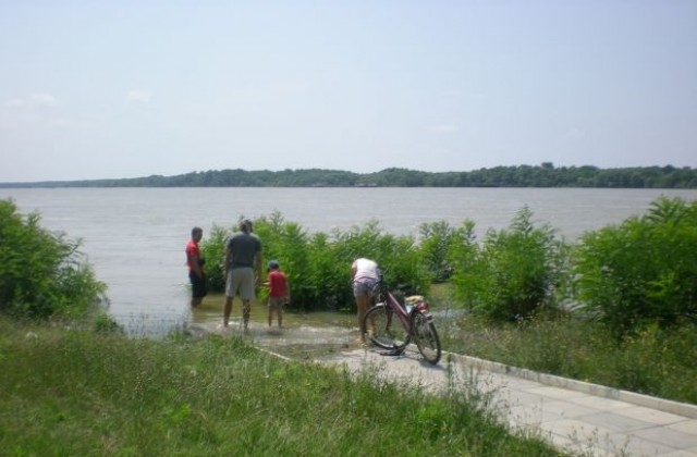 Създават комитет за подготовка и изпълнение на проекти по Дунавската стратегия