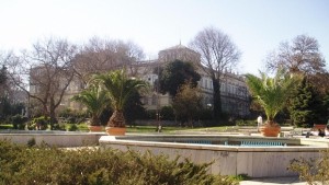 Кралски градинар за варненските палми Като на мелба чесън са