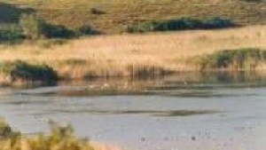 Разрешават риболова в Сребърна