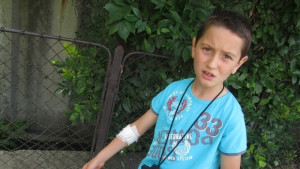 Змия ухапа дете в двор на училище в Ловеч