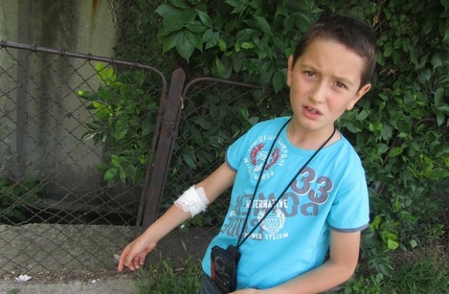 Змия ухапа дете в двор на училище в Ловеч