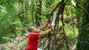 МГЕРБГаброво почистиха екопътека