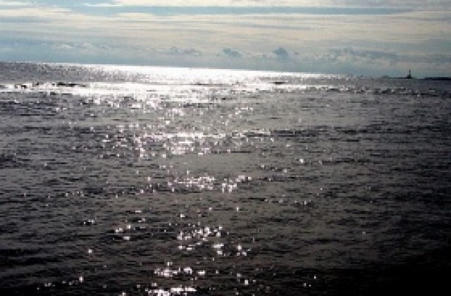 Еколози сигнализират за нарушения в заменени площи по морет
