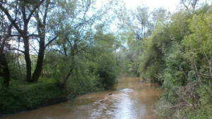 Ученици отбелязват Световния ден на околната среда