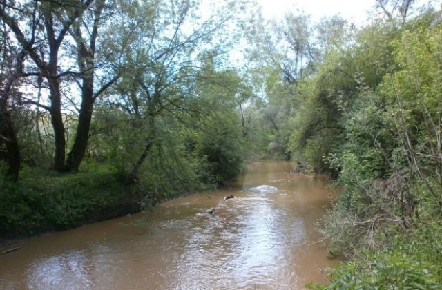 Ученици отбелязват Световния ден на околната среда