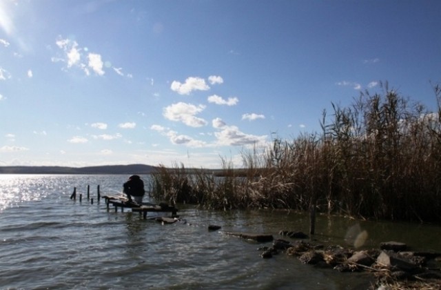 Изложба представя богатството на Атанасовско езеро