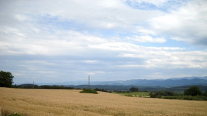 5 юни е световният ден на околната среда