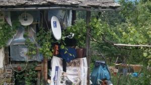 Съседи търсят помощ за английски заселник