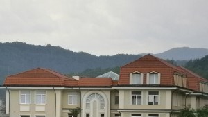 Международна работна среща