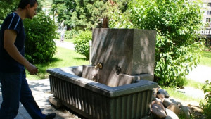 Пореден вандалски акт