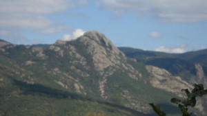 Ден на природните паркове