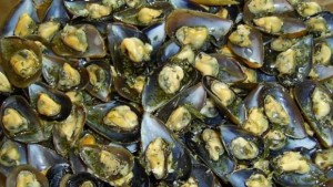 Строят мидена ферма