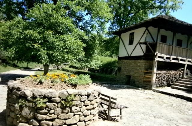 Предимно слънчево