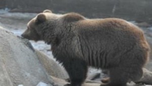 Скачат цените за варненски атракциони