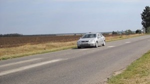 Почистват от растителност пътищата в региона