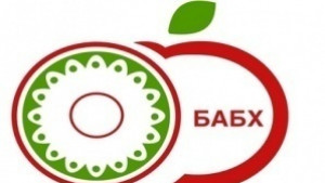 Стафилококи и лоша хигиена натровили лагеруващите деца край Варна