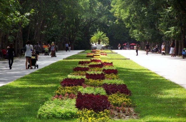 Само с електромобили в Морската градина, предлагат съветници и екоактивисти