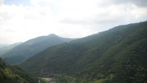 Все още издирват тялото на удавил се в рОгоста мъж