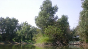 Дунавският фотоконкурс привлича участници и от Австрия