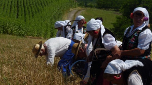 Зажънаха в новозагорското село Бял кладенец
