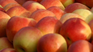 30 социални заведения за деца и възрастни получиха дарение