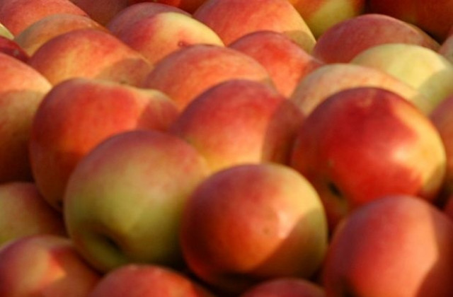 30 социални заведения за деца и възрастни получиха дарение