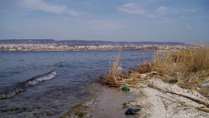 Максуда цапала морето при всеки порой