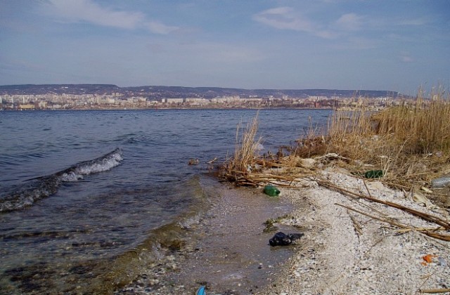 Максуда цапала морето при всеки порой