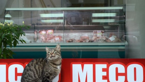 Цените на основните хранителни продукти остават почти непроменени