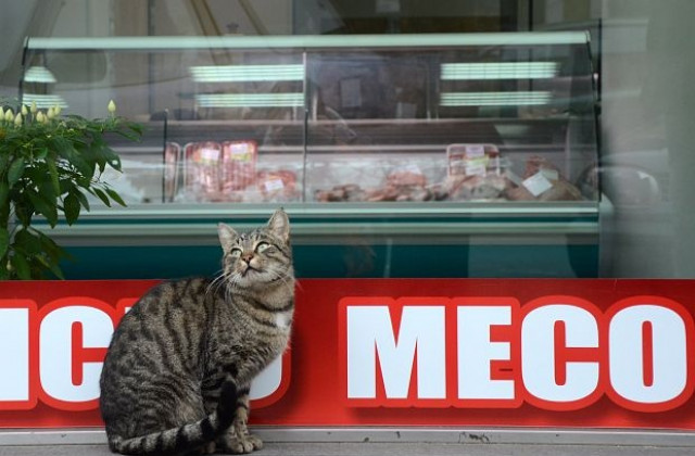 Цените на основните хранителни продукти остават почти непроменени