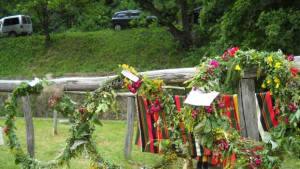 Еньовден в АЕК Етър