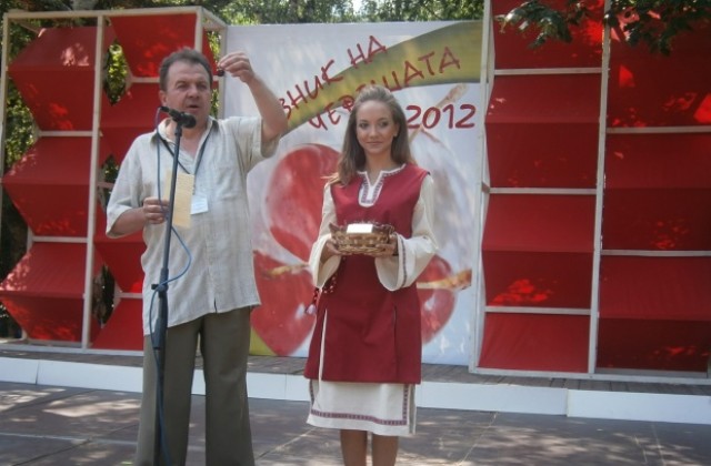 Бинг, Ван и Козерска са сред най-подходящите сортове череши за кюстендилския край
