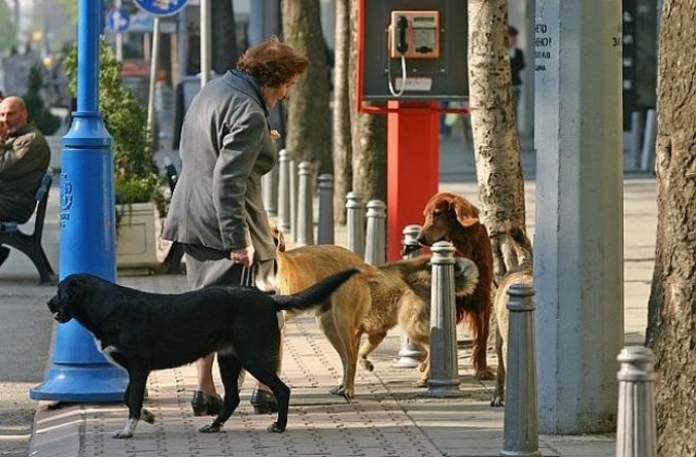 Човекът превръща кучето в псе