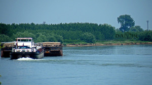 На разходка по Дунав с Радецки