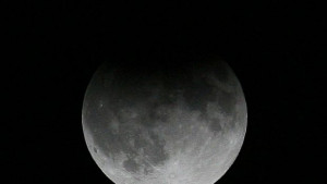 Пътешествие до Луната за 156 млн долара