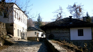 Интересна изложба в Боженци