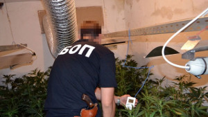 Задържаха петима за наркопроизводство