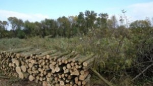 Приемат документи за отопление и помощи за първокласници