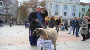 Ексцентрик развява фалос в центъра на Варна