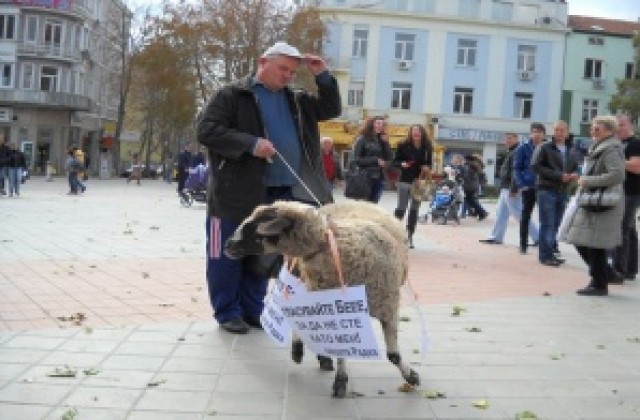 Ексцентрик развява фалос в центъра на Варна