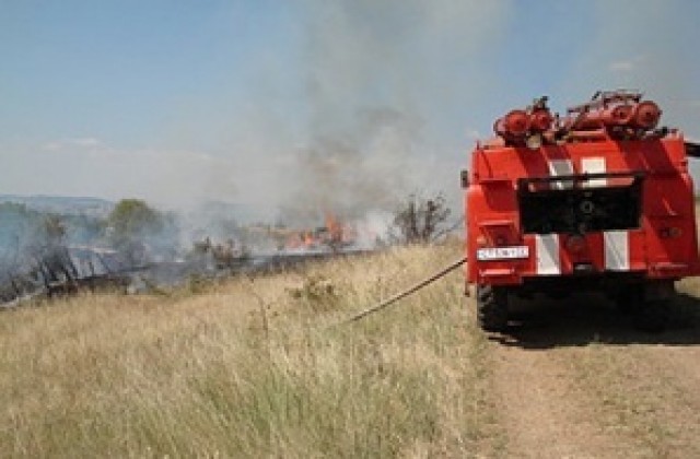 300 декара пшеница горяха в землището на плевенско село