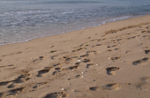 Мазутен разлив изцапа плажа в Шкорпиловци