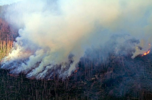 Пожарът на Витоша е на път да обхване живата гора. МВР: Ще се справим